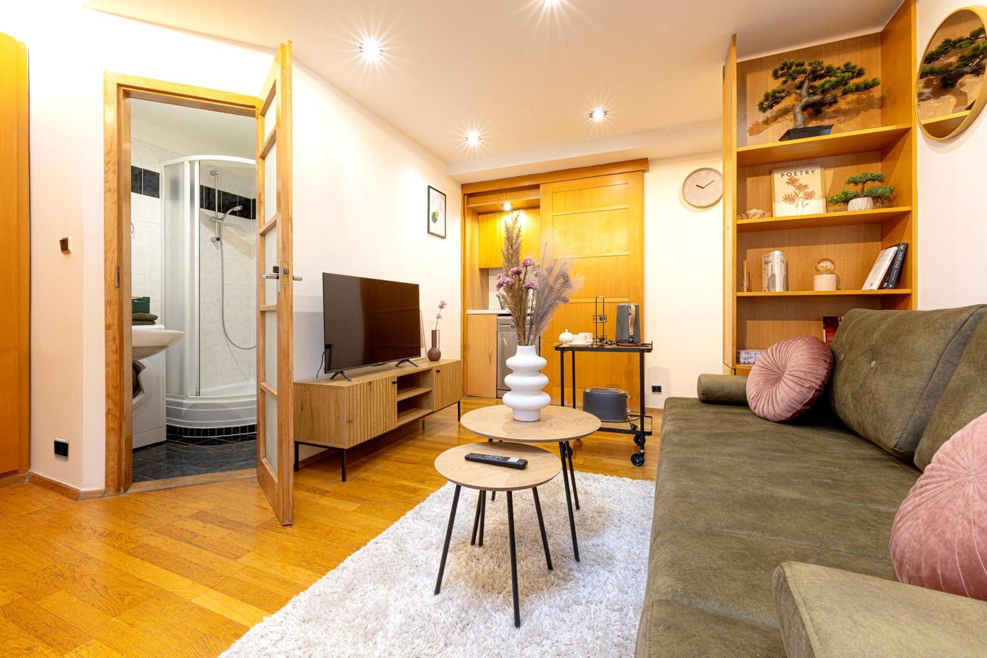公寓 The Wenceslas Loft 布拉格